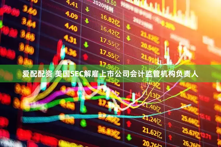 爱配配资 美国SEC解雇上市公司会计监管机构负责人