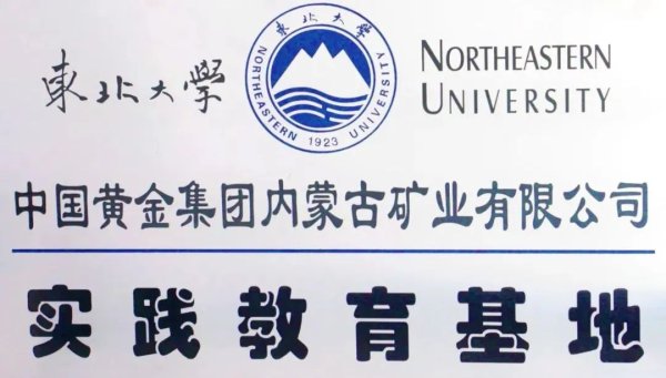 园十州 格栅板脱落坠入浮选槽 6名大学生在选矿厂不幸溺亡！溺亡者同学：里面是矿浆 人掉进去动不了